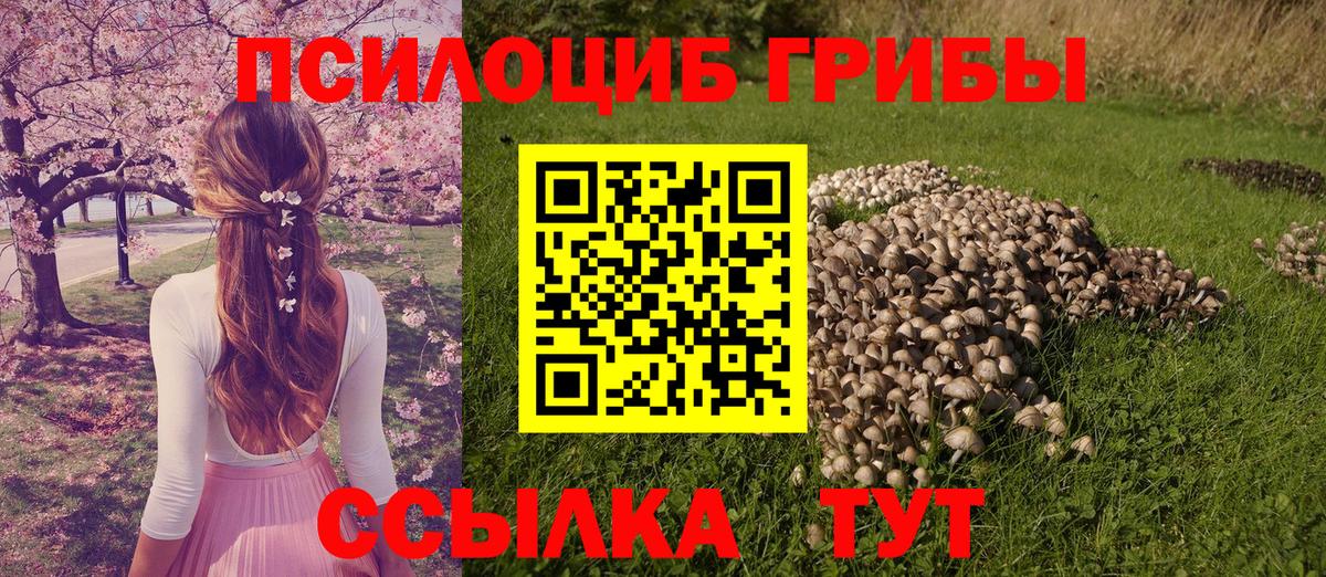 Заводоуковск  Галлюциногенные грибы прущие грибы  Вход с VPN  закладка  Галлюциногенные грибы мухоморы 